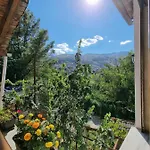 B Vishe Guest House
